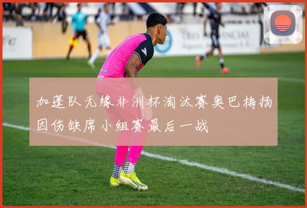 加蓬队无缘非洲杯淘汰赛奥巴梅扬因伤缺席小组赛最后一战