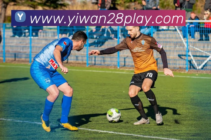 亿万28服务体系