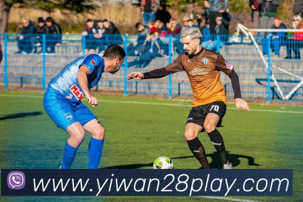 多媒体互动体验